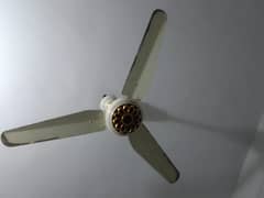 AC DC Fan