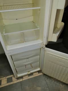 Italian Brand NARDI  11 CFT Fridge / Freezer