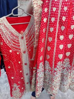 Red Lehnga Stone Work . Crincle crabe