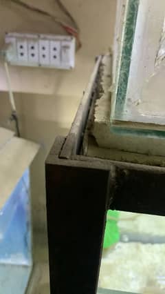 Aquriam rack & 6 fish tank