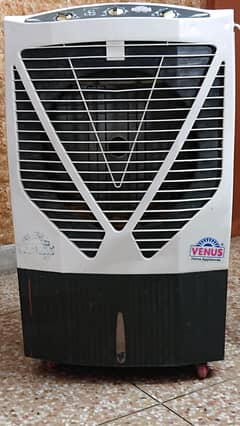 Venus