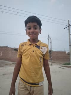 Sameer Pitbull Dog