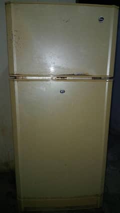 PEL Fridge Golden colour Condition 10/7
