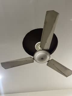 Ceiling