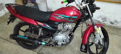 i want sale yamaha 125Z_DX