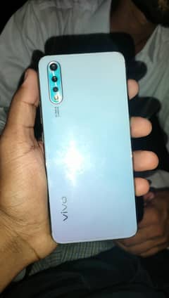 Vivo