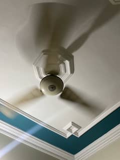 Pak Fan - Ceiling Fan