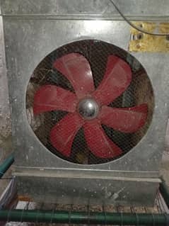 cooler for sale (03145995604)
