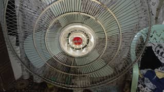 Relax fan brand new