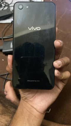 vivo