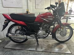 Yamaha ybz with extra lights and extra accessories