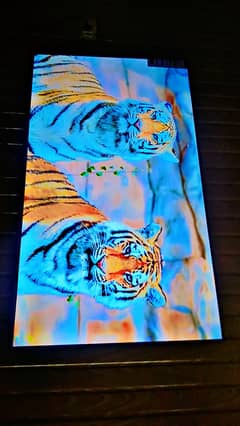 Samsung make 65* LED