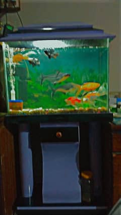 Aquarium