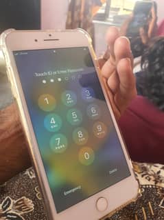 I phone 8 plus pta aproved