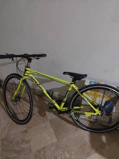 speedo roadster bicycle