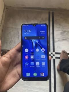 vivo