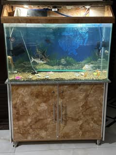 Equarium