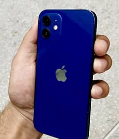 Iphone 12 128gb