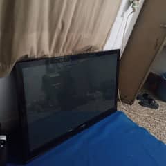 LCD Screen