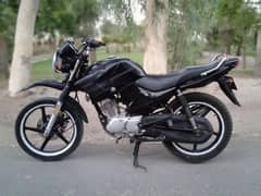 Yamaha ybr