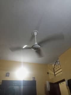 PAK