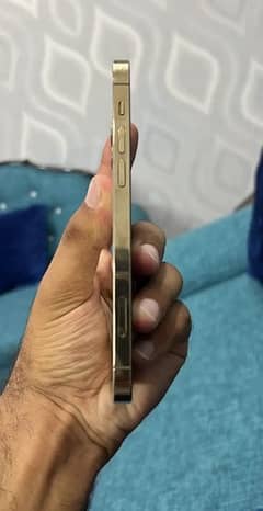 Iphone 12 pro Gold edition Dual physical approved
