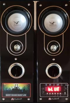 Audionic
