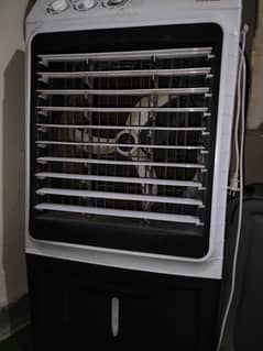Pak Diamond AC/DC Air Cooler