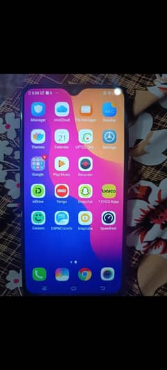 vivo