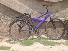 cycle achi hay