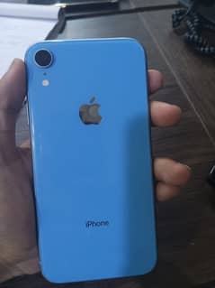 iPhone XR
