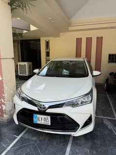 Xli auto 2018/19  procmatice