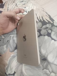 ipad mini 6