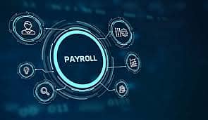 HR ,Payroll,Employee Management System,Attandance Database server.
