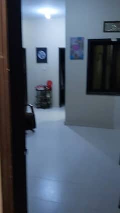 256