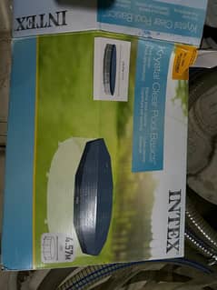 Intex