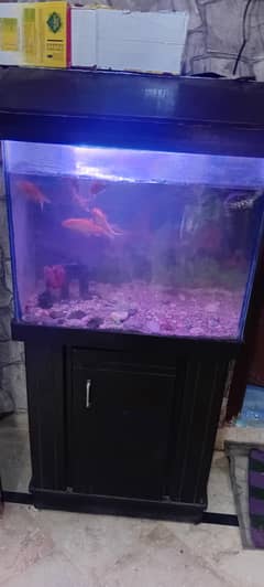 Auriquim with 5 fish and 1 trutul