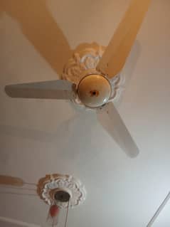 Ceiling