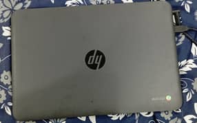 hp Chromebook