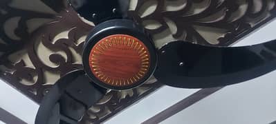 Sonex Ceiling Fan