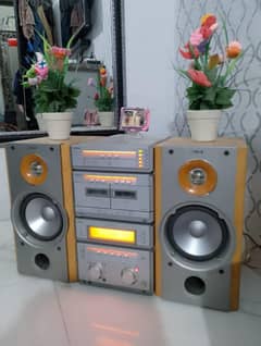 Sony sound system