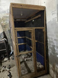 cage best for birds hen pigeons
