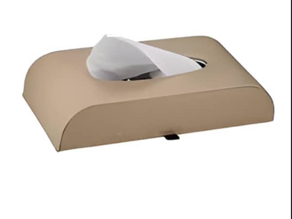 Beige Imported Tissue Box for All Car Models