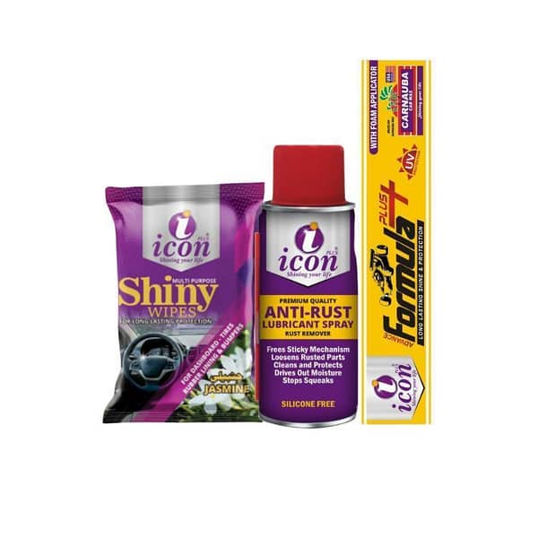 Icon Plus Bike Care Kit with Multi-Surface Wipes, Anti-Rust Spray, and Paint Restoration Formula