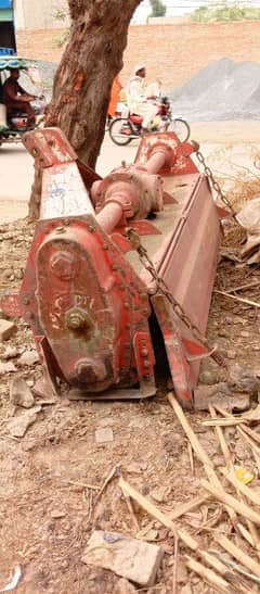Rotrvertn