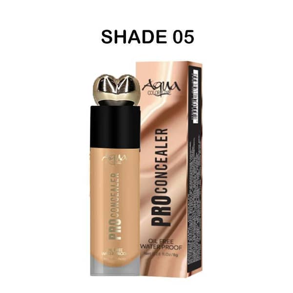 Aqua Color Line Pro Concealer - Oil-Free Waterproof Formula in Shade 06