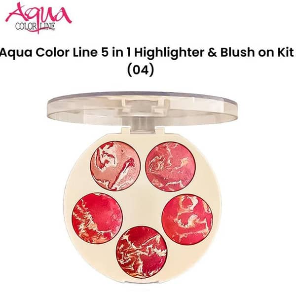 Aqua Color Line 5 in 1 Highlighter & Blush on Kit (04)