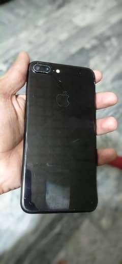 03406509162 watsapp