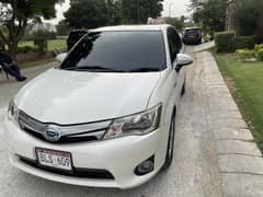 Toyota Axio Pearl White 2014
