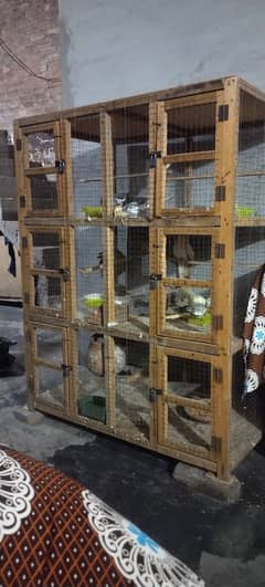 Parrots with cage